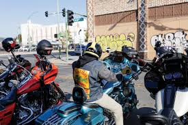 Image result for Bay Dragons CC