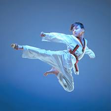 Image result for America's Best Karate