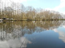 Image result for Bay Malton Angling Club