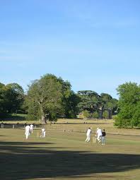 Image result for Lewdown Cricket Club