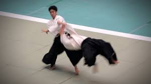 Image result for Fudokai Aikido Dojo