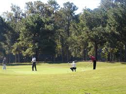 Image result for Denbigh Golf Club