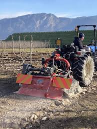 Image result for seppi tehron