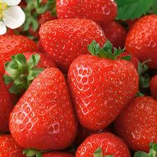 Attēlu rezultāti vaicājumam “Fragaria x ananassa fruit”