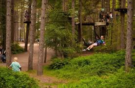 Image result for Go Ape! Dalby