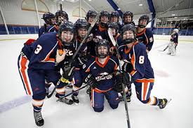 Image result for New Milton Hockey Club