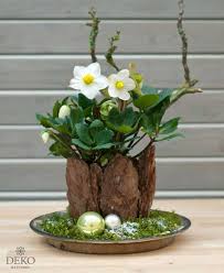 Image result for Christrose
