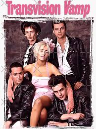 Image result for transvision vamp