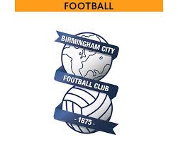 Image result for Warwick Bears Badminton Club