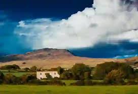 Image result for City Of Armagh Cricket Club