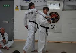 Image result for Great Britain Martial Arts Academy