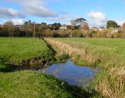 Attēlu rezultāti vaicājumam “Hygroamblystegium humile”