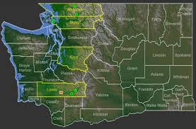Attēlu rezultāti vaicājumam “Ramalina thrausta”