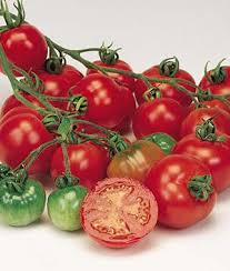 Afbeeldingsresultaat voor bloody butcher tomato