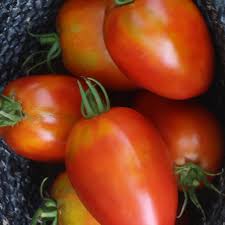 Afbeeldingsresultaat voor amish paste tomato