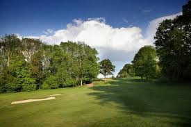 Image result for Aldwickbury Park Golf Club