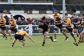 Image result for Rochford Hundred Rugby Club