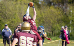 Image result for Ipswich Cardinals American Football Club