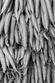 Attēlu rezultāti vaicājumam “Daucus sativus”