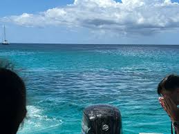 Image result for Harbour Lights Snorkelling Club (HLSC)