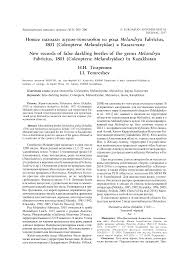 Attēlu rezultāti vaicājumam “Melandrya dubia”