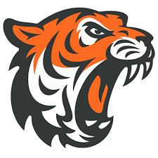 Image result for Team-Tigers Roller Hockey Club