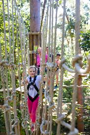 Image result for The Go Ape Experience (Swinley Forest)