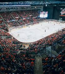 Image result for Sheffield Steelers