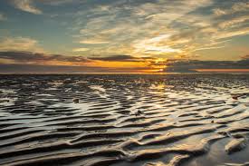 Image result for Imagini tehron