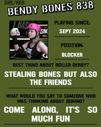 Image result for Basingstoke Bullets