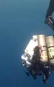 Image result for Deep and Wide Diving