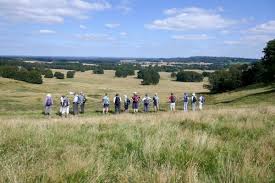 Image result for Mid Surrey Ramblers