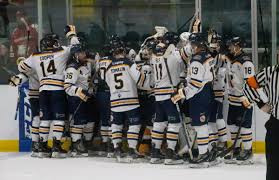 Image result for Romford Raiders