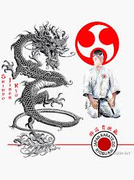 Image result for Ji Shin Do Karate