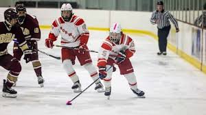 Image result for Norwich Dragons Hockey Club