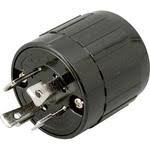 Image result for ２００Ｖ　３本 %