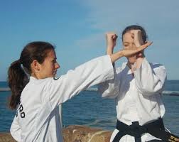 Image result for Epsom and Leatherhead Martial Arts