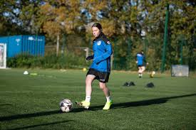 Image result for Haywards Heath Town Ladies Football Club