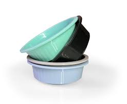 Image result for bacía