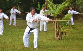 Image result for Iwama Shin Shin Aiki Shuren Kai
