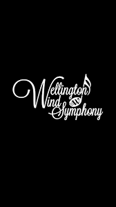 Image result for Wellington Whirlwinds Tc