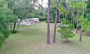 Image result for Green Hollow Bowmen