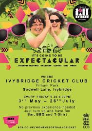 Image result for Ivybridge Cricket Club