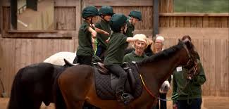 Image result for Riding For The Disabled