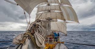 Image result for Thaddus Haenke