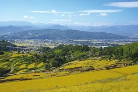 Image result for tanada