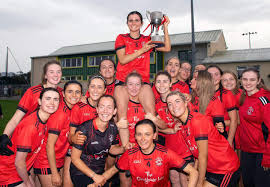 Image result for Rostrevor Hurling Club