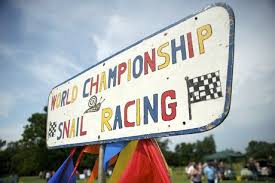 Image result for World Snail Racing Championships