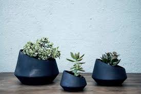 Image result for alguidar