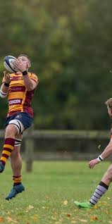 Image result for Westcliff Rugby Football Club